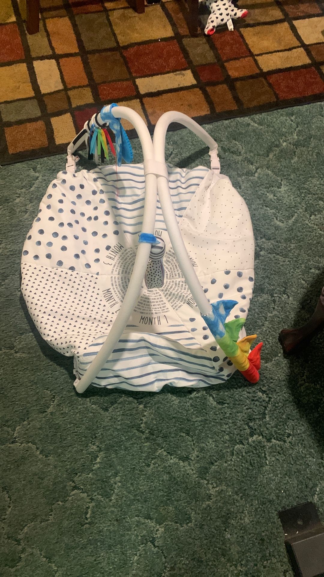 Baby Month Mat