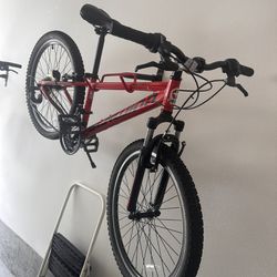 Schwinn Bikes - For Mom And Son! 