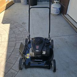 Murray 20-in Walk Behind Gas Push Lawn Mower