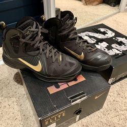 Nike LeBron 9 P.S elite