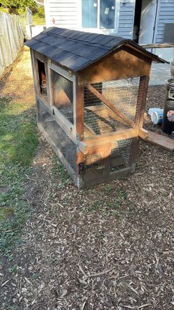Chicken Coup