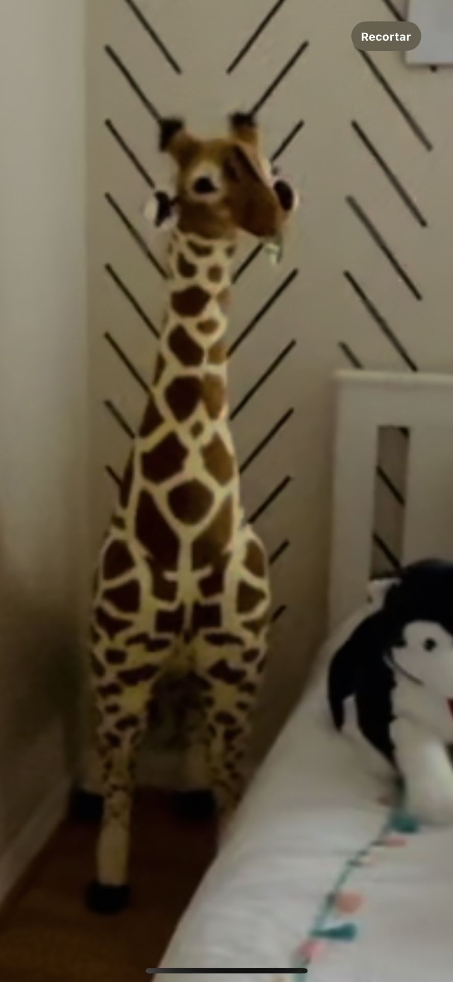 Giraffe 