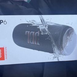 JBL Flip 6