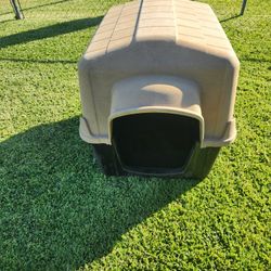 Dog House
