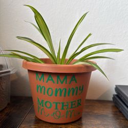 Mothers Day Gifts
