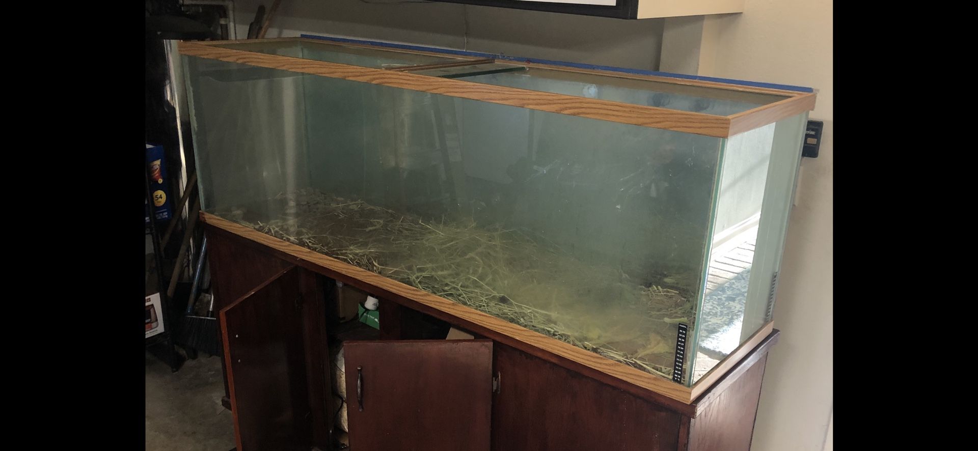 125 Gallon Tank 