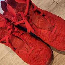 Nike Lebron 17s " Red Carpet Colorway " Mens 9.5