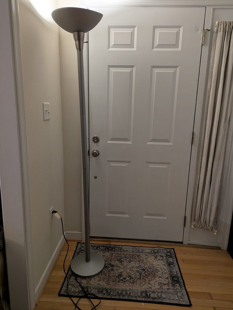 Gray/Silver Floor Lamp