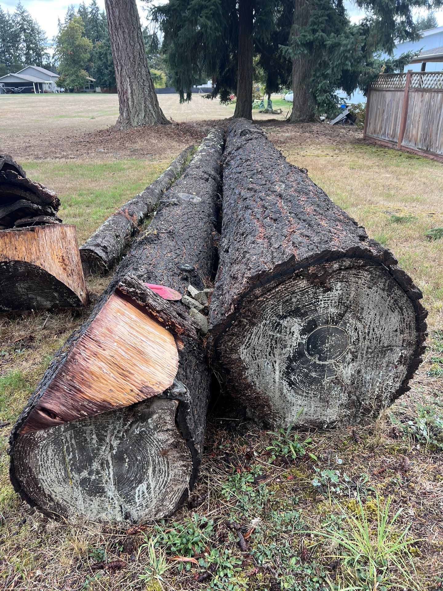 Douglas Fir Logs