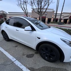 Window Film Automotive Tint 