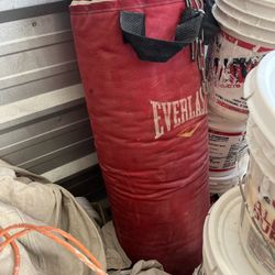 Everlast Punching Bag