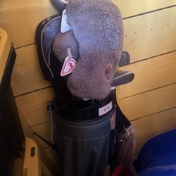 Golf Clubs Wing Point Country club Bag