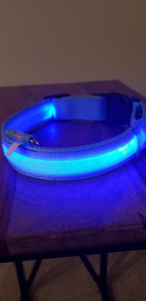 NEW- Blue LED Collar, Rechargeable 