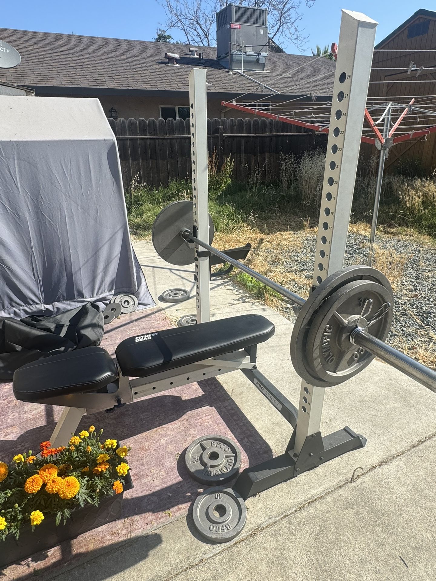 Olympic Weight Bench Plus All Weights $420 Or OBO