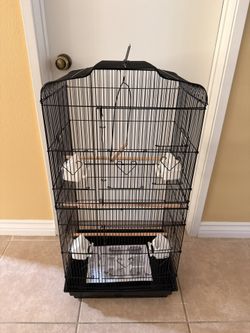 Birds Cage 