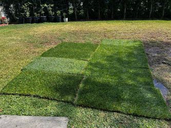 Fresh sod