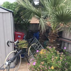 Black Bike  Scwhwinn
