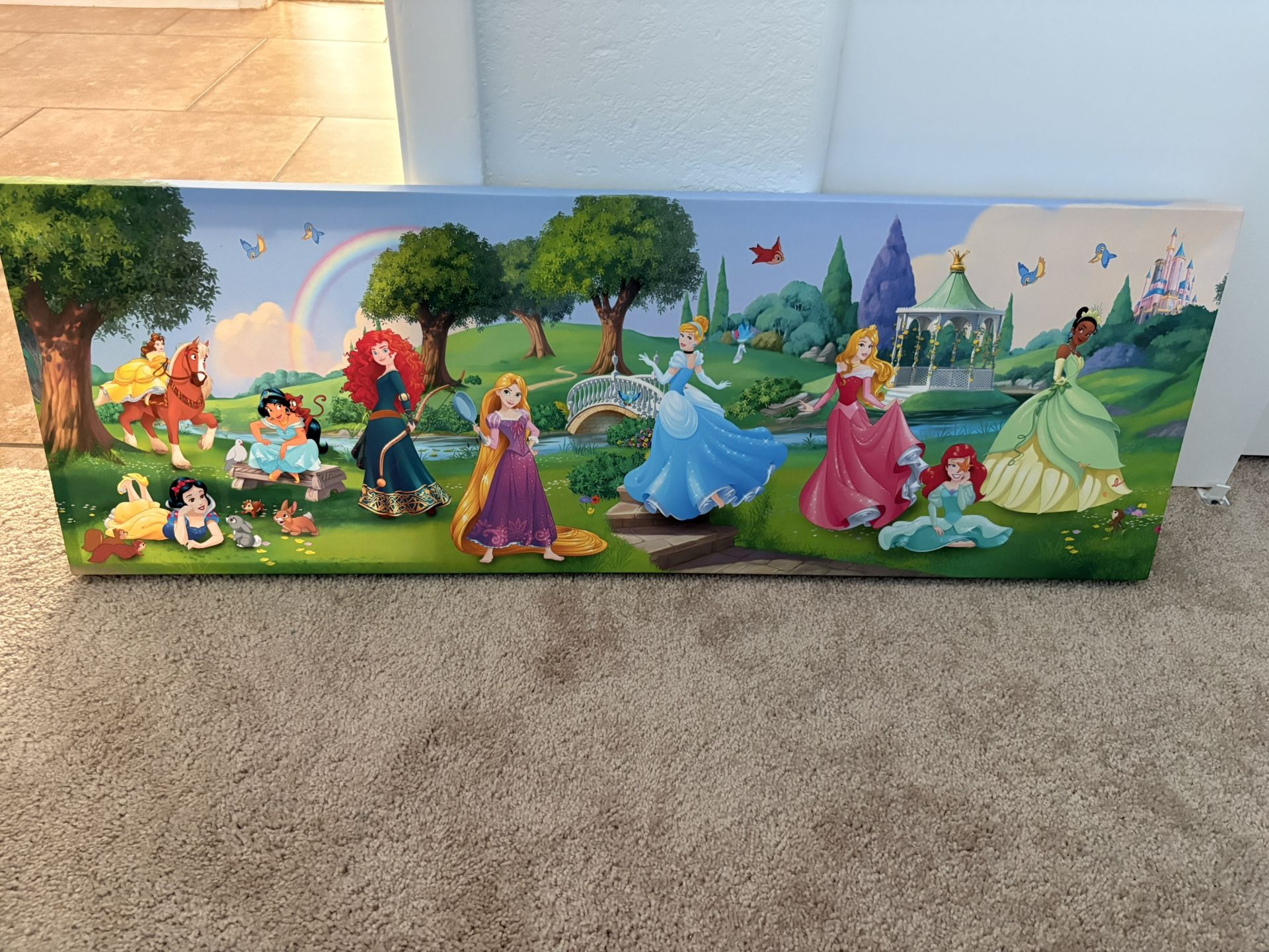 Disney Princess Canvas
