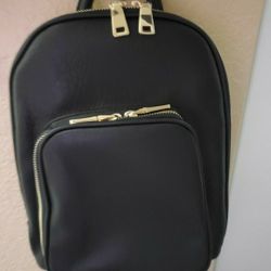 Mini Backpack/INC