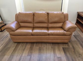 Natuzzi sleeper couch sofa