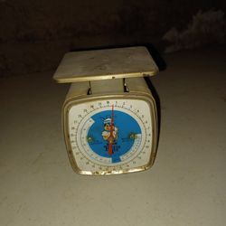 Small Kithen Scale