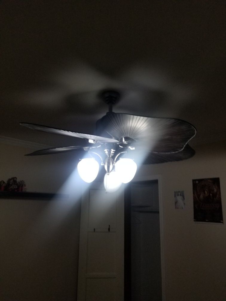 Ceiling fan