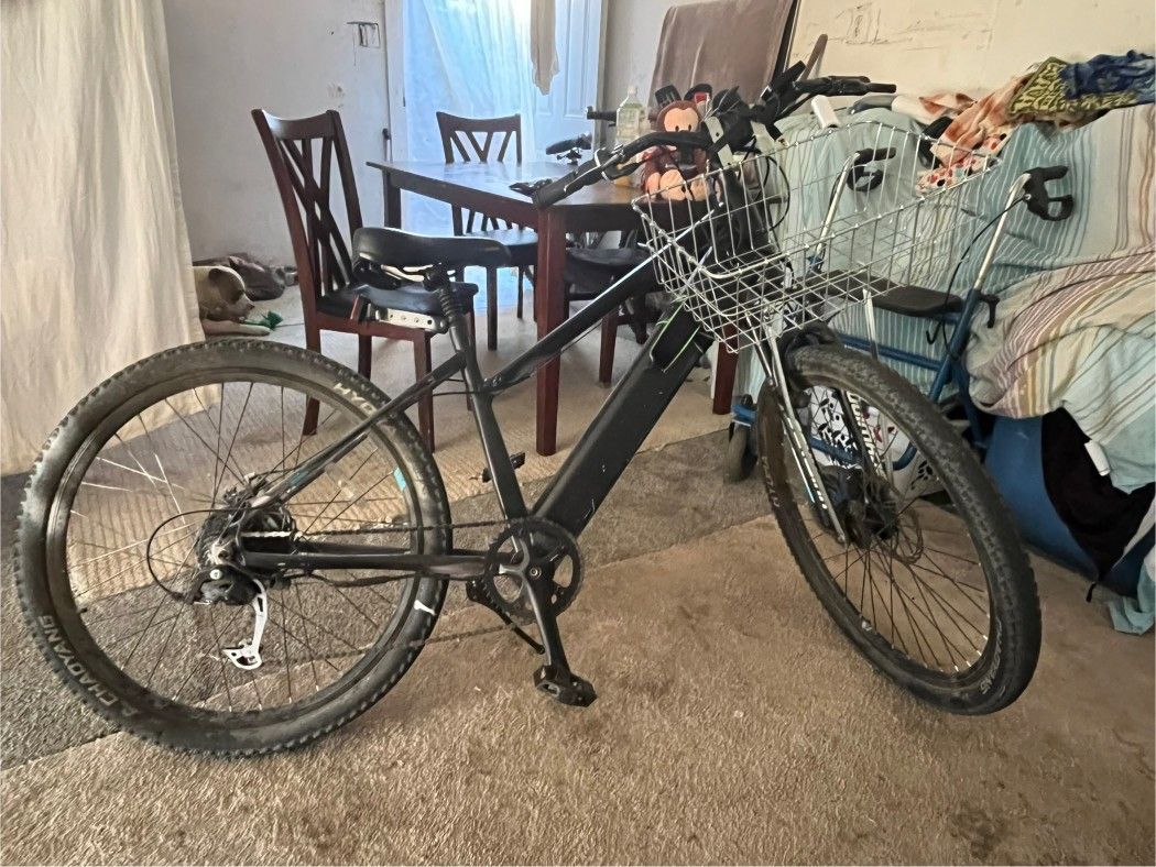 Schwinn E bike