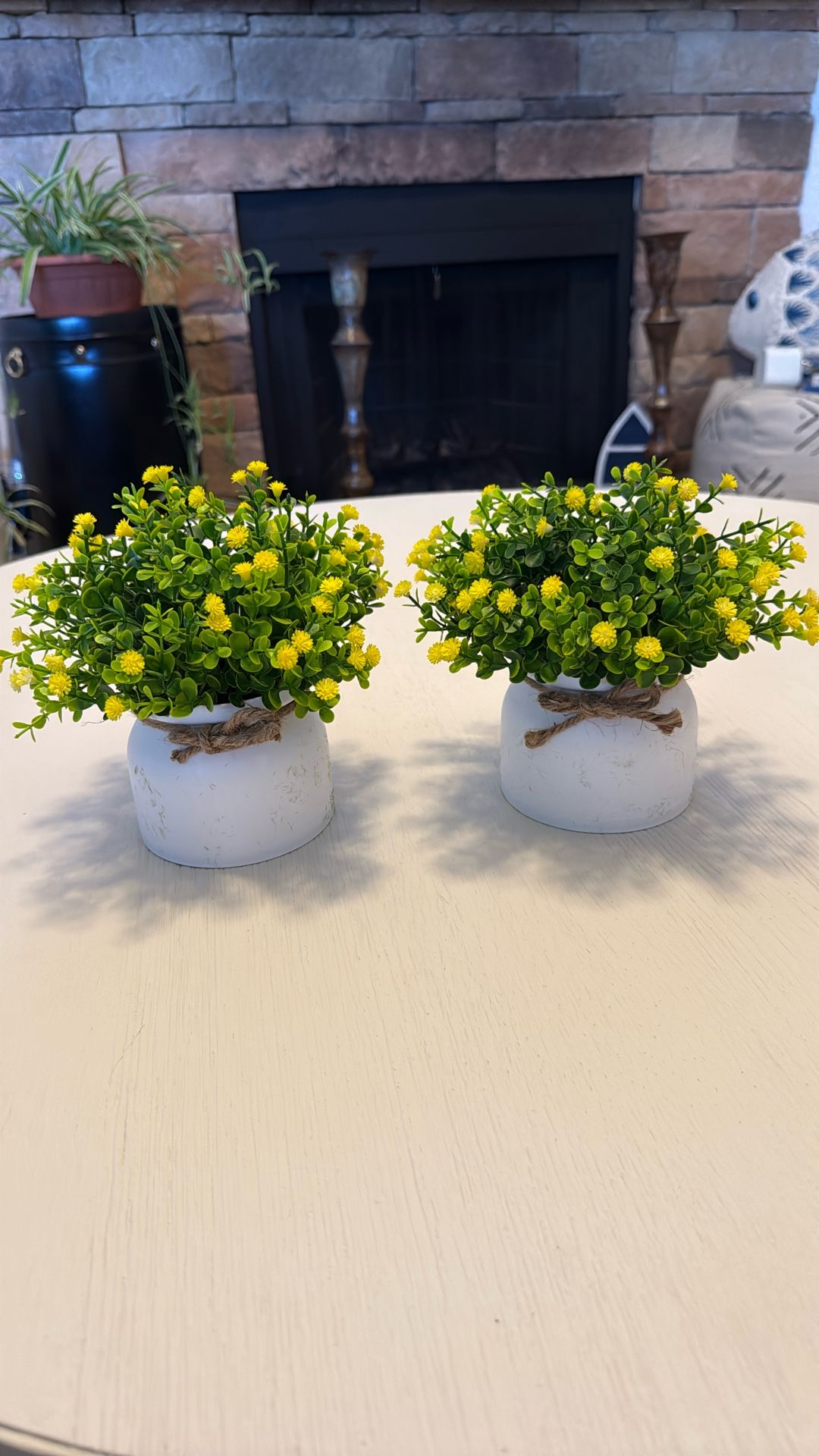 Artificial Plants”2”