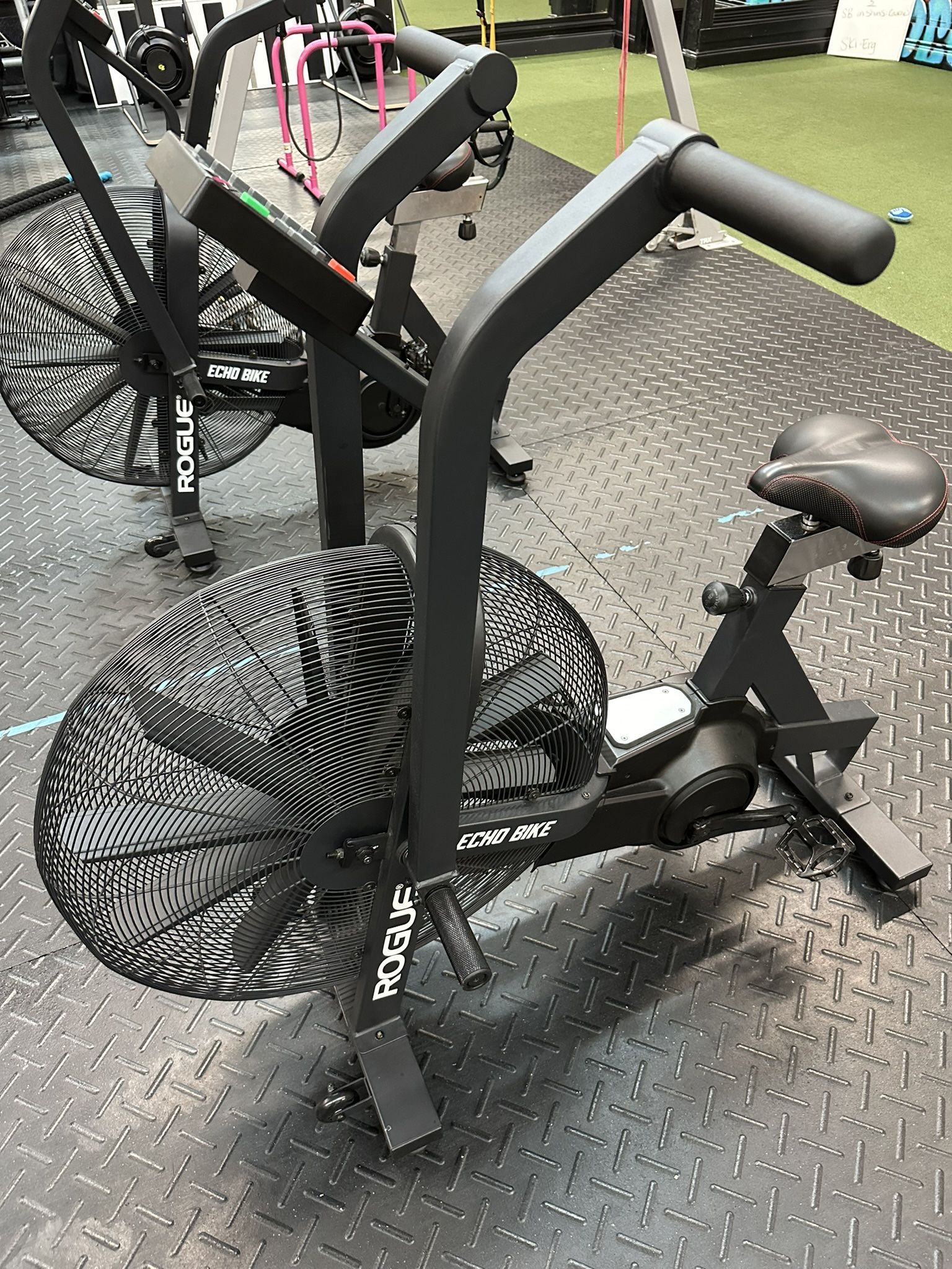 Rogue Echo Bike