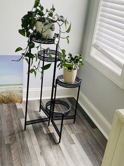 Plant Stand