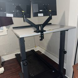 LifeSpan Treadmill Desk