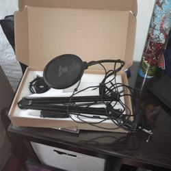 Music Mic 