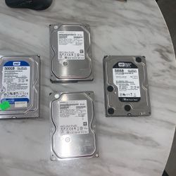 Western Digital And Hitachi Global 500GB Hard Drives 