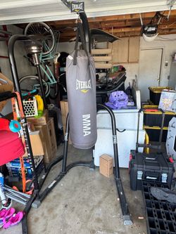 Everlast Punching Bag