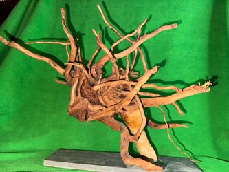 Driftwood