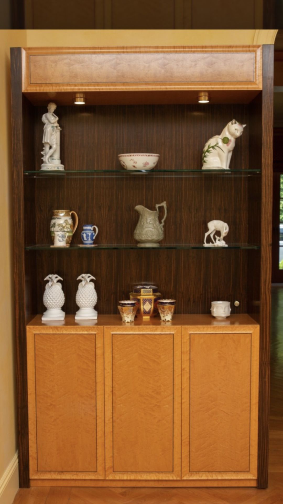 Display/Storage Cabinet