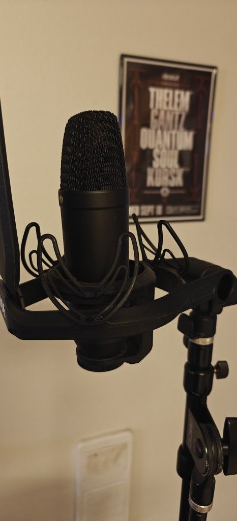 Rode NT-1 + Stand