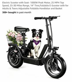 E-scooter 25 mph