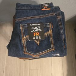 FR Work Jeans/Pants