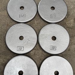 Eight 10 Pound Standard Weights (80 Lbs)
