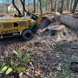 STUMP GRINDING
