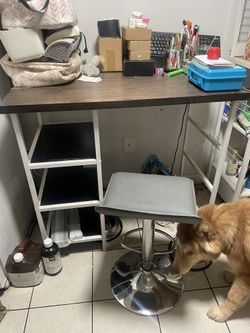 Computer/ Workspace Desk + Adjustable Chair