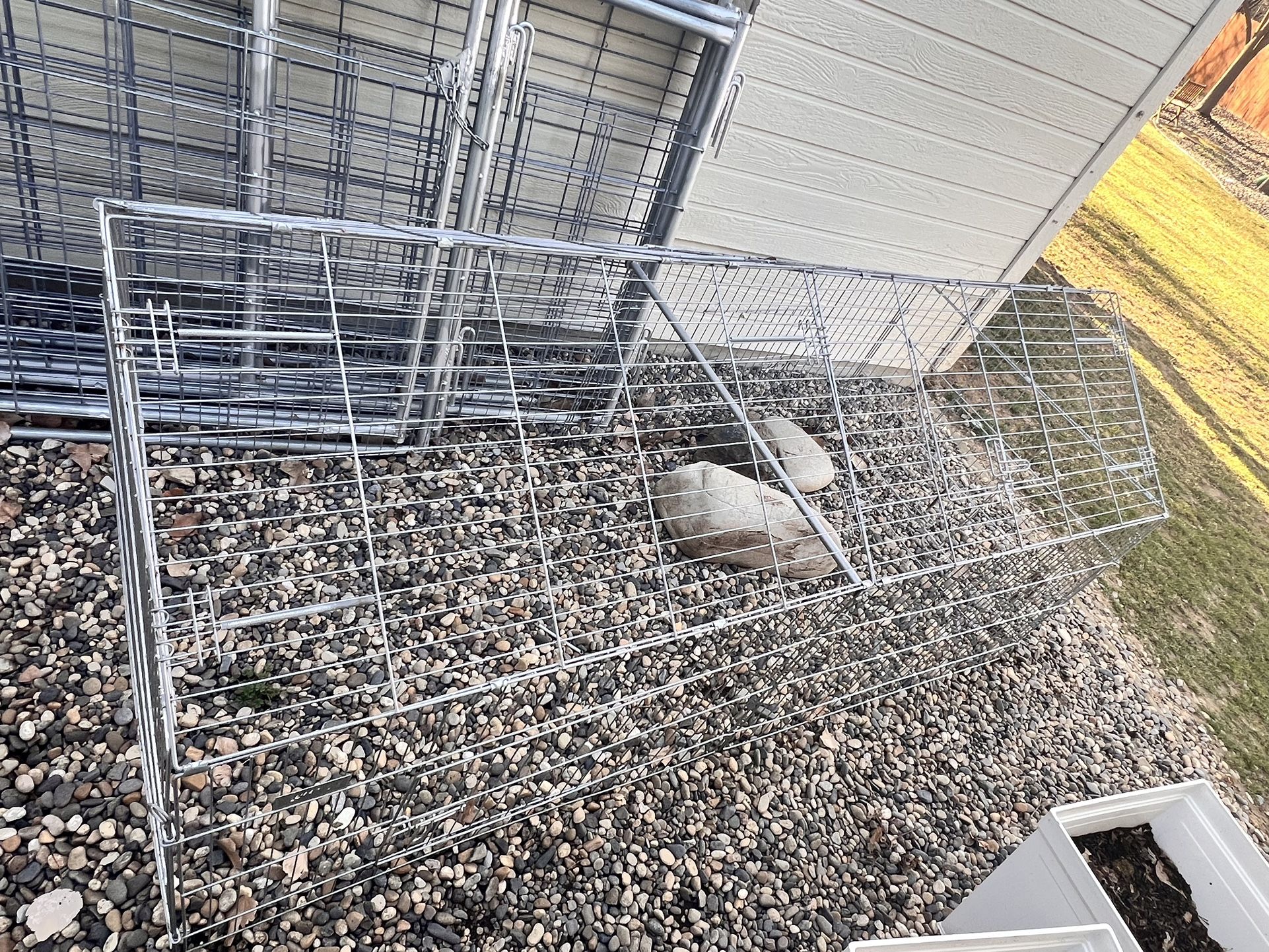 Bunny Run