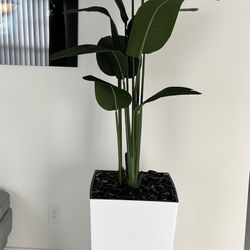 Faux Plant With Planter