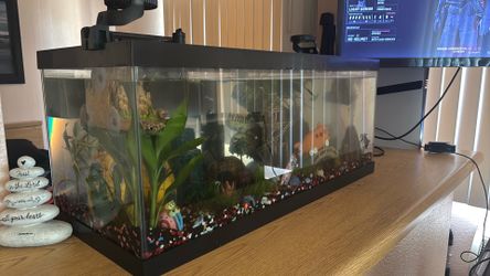 20 gallon fish tank