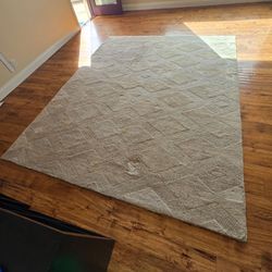 Area Rug 8' x 10'