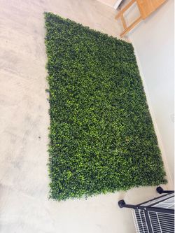 Boxwood panel