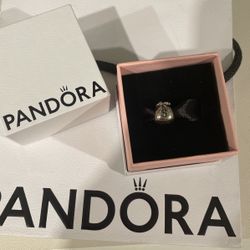 Pandora Charm 