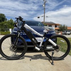 Electric bike