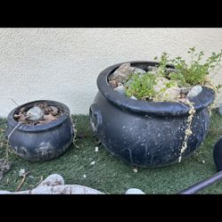 Matching Planting Pots 